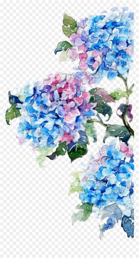 Drawing Watercolor Flowers Best Flower Site