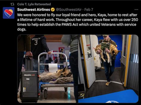 A Terminally Ill Service Dog Takes Her Final Flight Home