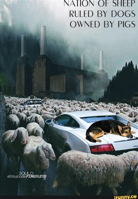 Nation Olf Ruled By Dogs Owned By Pigs Ifunny