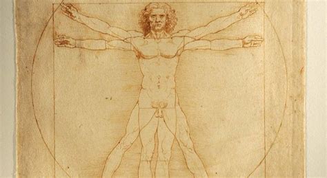 Leonardo Da Vinci L Uomo Vitruviano Tornato A Casa Dopo Il Viaggio A