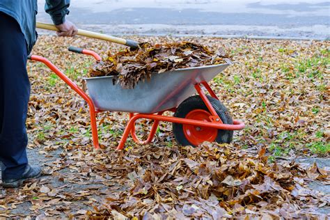 Yard Work is Hard Work: How Raking Leaves Turns into Metabolic Power