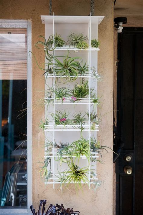 Tillandsia Tower Air Plant Habitat Ryan Benoit Design Air Plants