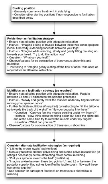Lumbar Motor Control Training Physiopedia