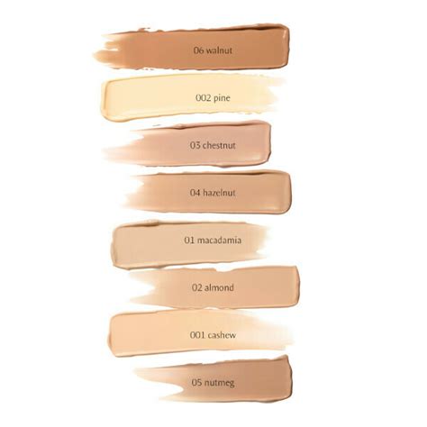 Organic Foundation Dr Hauschka
