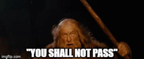 Gandalf You Shall Not Pass GIFs Tenor