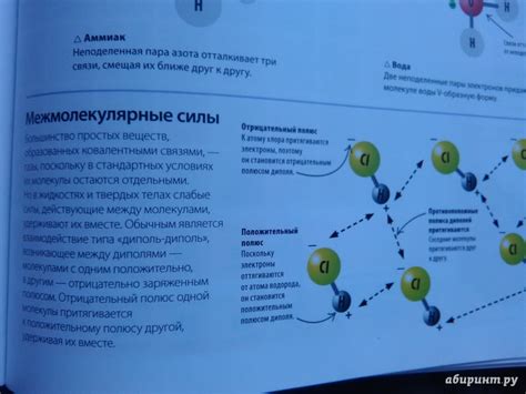 Книга: Как объяснить ребенку науку. Иллюстрированный справочник для ...