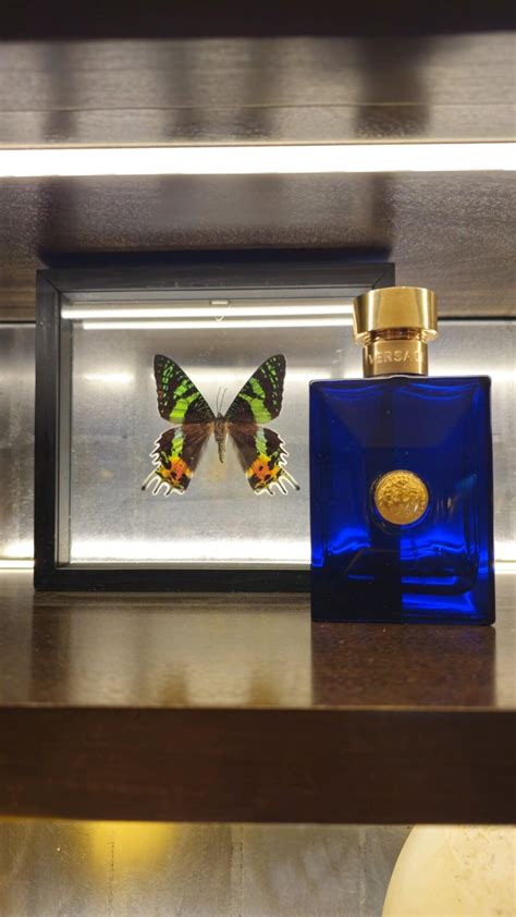 Versace Pour Homme Dylan Blue Versace одеколон — аромат для мужчин 2016
