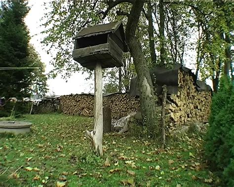 Super Geil BDSM With Pissing Chicks Getting Pussy Fisted And Webcam Webcam Porn XHamster