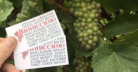 О компании – Виниссимо