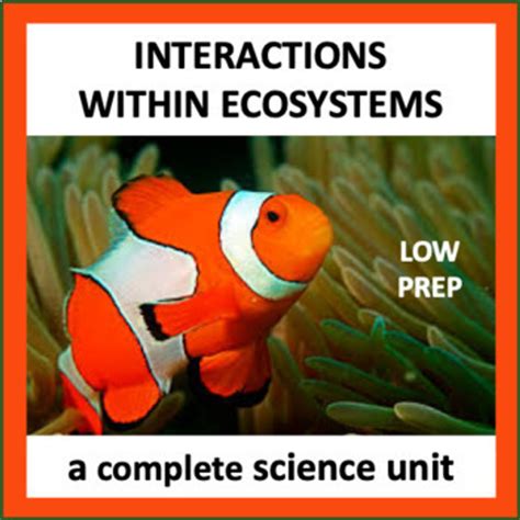 interactions  ecosystems