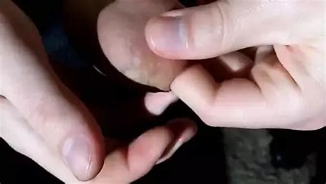 Free Gay Porn Videos Trending Porno Movies 2265 XHamster