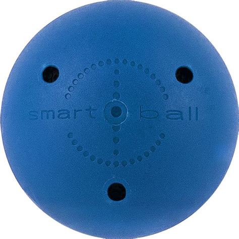 Мяч для тренировки хоккейного дриблинга BIG BOY арт.BB-SB-DB ...