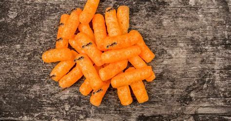 Can Ants Eat Hot Cheetos Explained