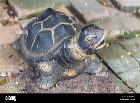 Turtle Statue In The Garden Stock Photo Alamy