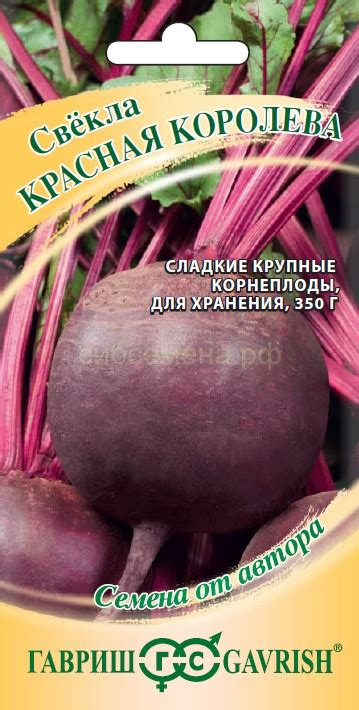 СВЕКЛА — Семена для Сибири