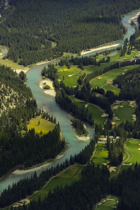 wild animal tour banff 6