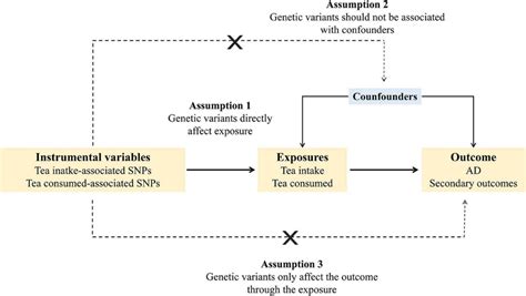 Schematic Diagram Of The Mendelian Randomization Assumptions Ad