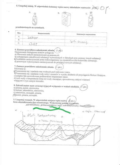 Sprawdzian Z Przyrody Klasa Dzia