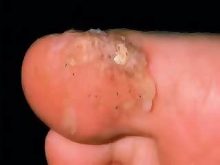 A Girls Guide To St Century Sex