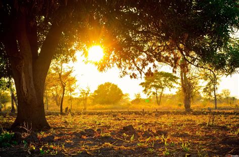 Spring Morning Wallpapers Top Free Spring Morning Backgrounds