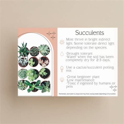 Succulent Care Instruction Printable Instant Digital Download Indoor