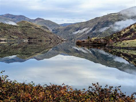 argus observer obituaries 2