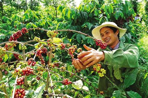 Nescafé Turns Lives Around