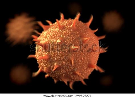 Pollen Grains Male Sex Cells Flowering Stock Illustration Shutterstock