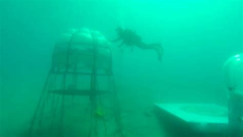 Il basilico ligure per il pesto si coltiva in fondo al mare è il Nemo