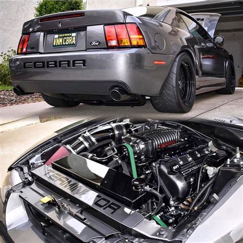 03 Dsg Cobra On Instagram “here Some Terminator Tuesday With Some Of The Cleanest Dsg Whipple