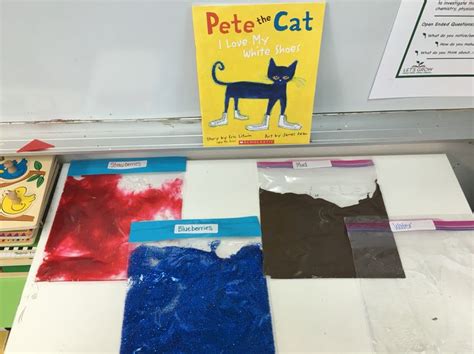 Pete The Cat I Love My White Shoes Sensory Story Telling Pete The