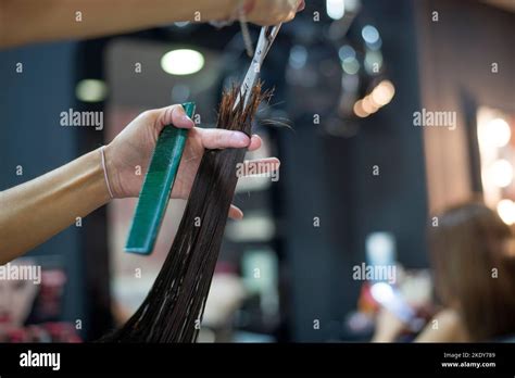Female Cutting Hair Hi Res Stock Photography And Images Alamy