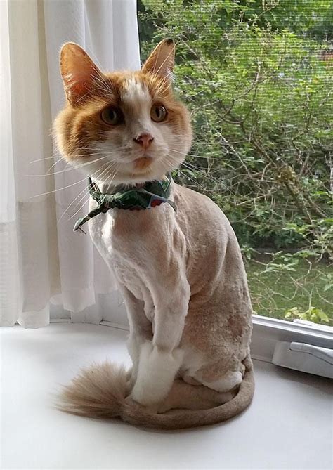 Hairy Pussy Xnxx Adult Forum