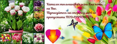 klumba.com.ua - Неповторимый шарм и эталон женственности - это роза 🌹 ...