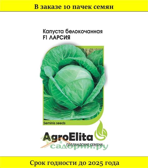 Капуста Агрессор Описание Сорта Фото Отзывы Цена – Telegraph