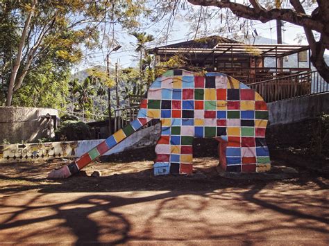 Pi Cheng Hsiu Traverses Taiwan to Document a Disappearing Population of