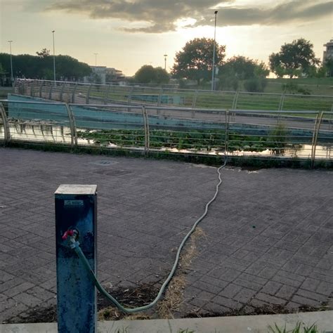 Latina Fontane Storiche E Laghetto Del Parco San Marco Le Richieste Di Dario Bellini Lbc