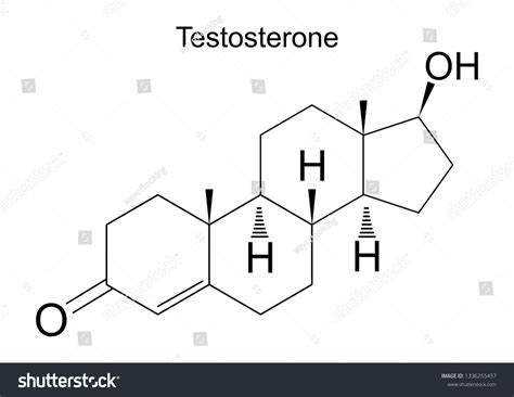 Male Sex Hormones Molecular Formula Testosterone Stock Vector Royalty Free