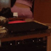 Spreading Her Ass GIFs Find Share On GIPHY