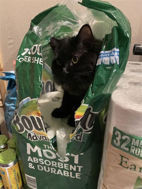 Would I be the most hated person on r/Costco if Bounty Advanced becomes