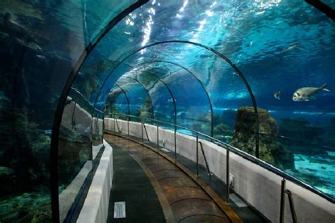 ISTANBUL AQUARIUM | İSTANBUL AQUARIUM