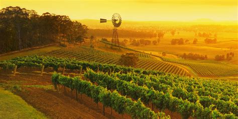 A Guide To Australias Wine Regions From Wine Experts