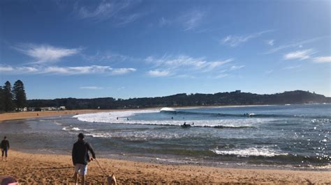 Avoca beach.nsw : r/surfing