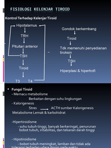 Fisiologi Kelenjar Tiroid Pdf