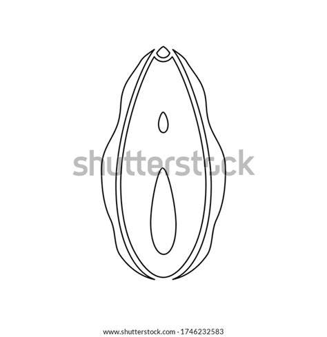 Pussy Vagina Stock Vectors And Vector Art Shutterstock