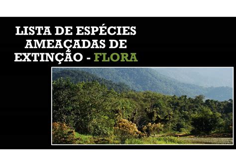 Duas Espécies Vegetais Do Brasil Ameaçadas De Extinção - Lista Das Espécies Ameaçadas De Extinção - FDPLEARN