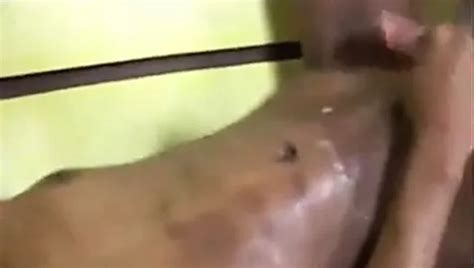 Free Shemale Close Up Porn Videos XHamster