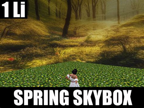 Second Life Marketplace Skybox