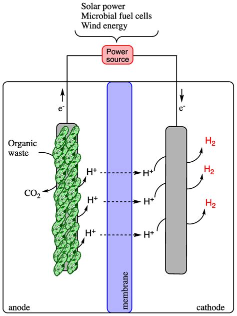 Energies Free Full Text Biohydrogen—a Green Fuel For Sustainable