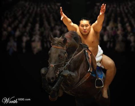 The Collection Of Photoshop Horses The Equinest